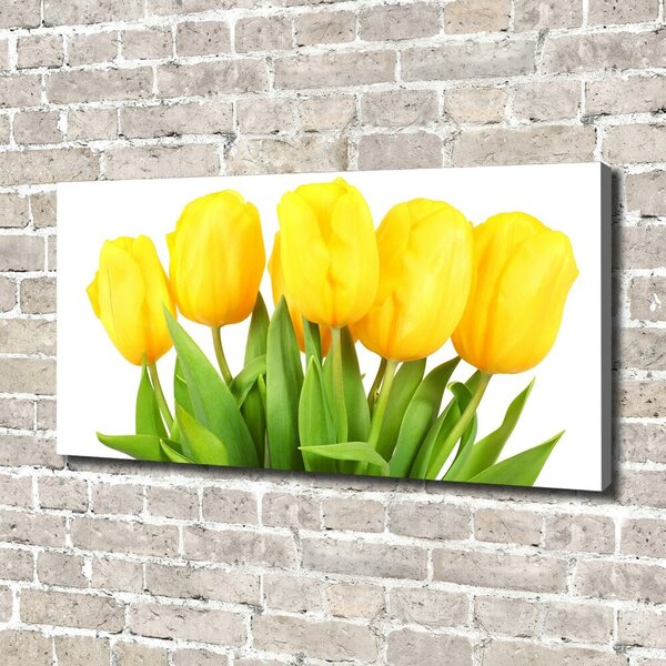 Foto obraz na plátně do obýváku Žluté tulipány oc-50296445