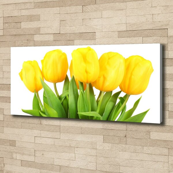 Foto obraz na plátně do obýváku Žluté tulipány oc-50296445