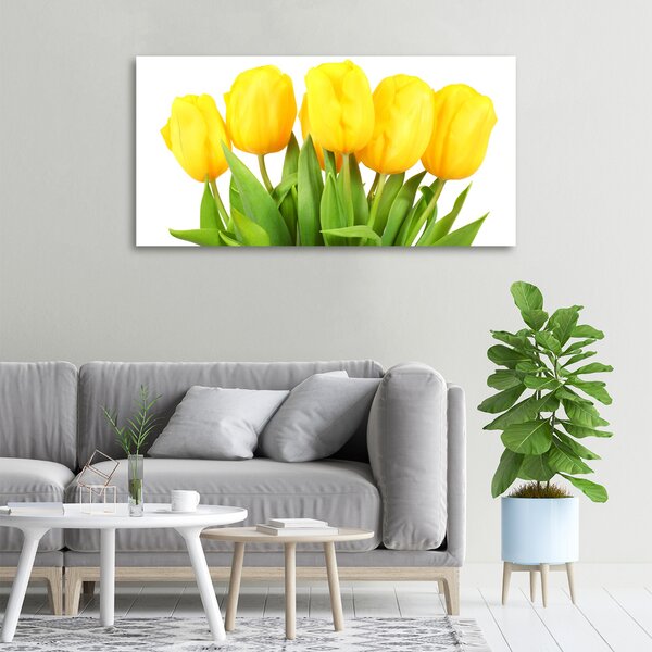 Foto obraz na plátně do obýváku Žluté tulipány oc-50296445