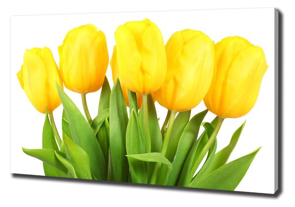 Foto obraz na plátně do obýváku Žluté tulipány oc-50296445