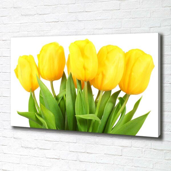 Foto obraz na plátně do obýváku Žluté tulipány oc-50296445