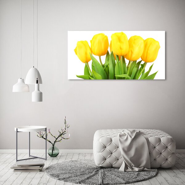Foto-obrah sklo tvrzené Žluté tulipány osh-50296445