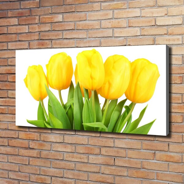 Foto obraz na plátně do obýváku Žluté tulipány oc-50296445