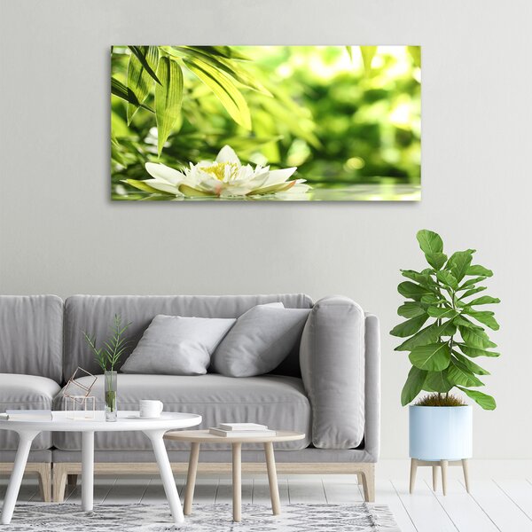 Moderní obraz canvas na rámu Vodní lilie oc-51529189