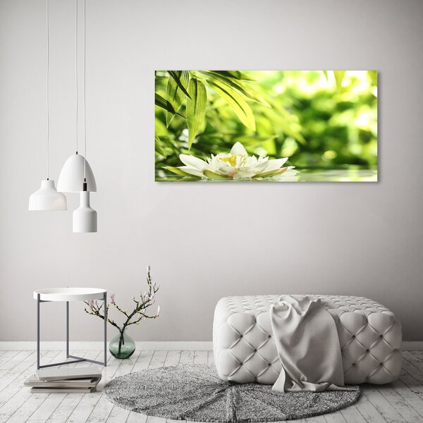 Moderní obraz canvas na rámu Vodní lilie oc-51529189