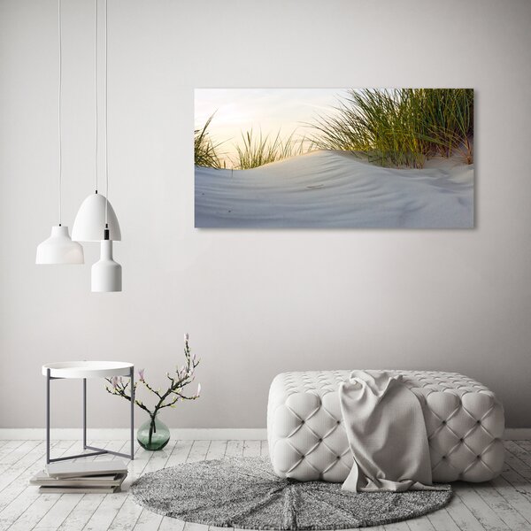 Foto obraz canvas Mořské duny oc-51837949