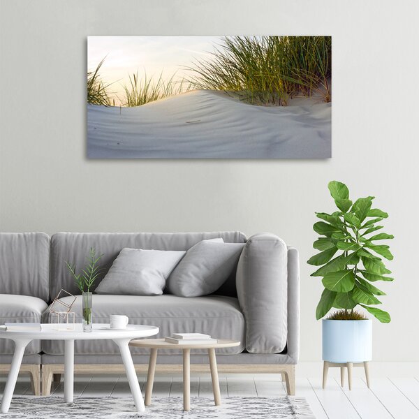 Foto obraz canvas Mořské duny oc-51837949