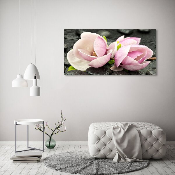 Foto obraz canvas Magnólie kámen zen oc-52082705