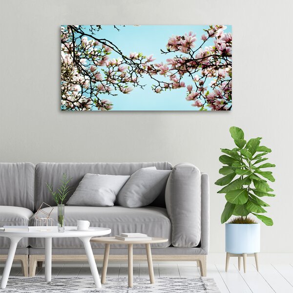Foto obraz na plátně Květiny magnolie oc-52445180