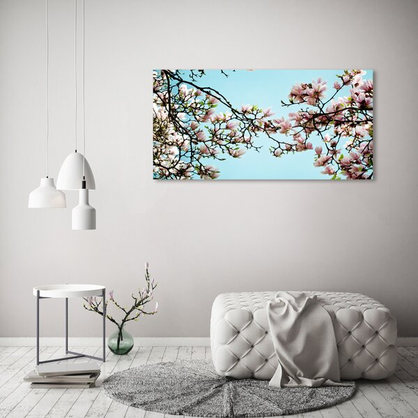 Fotoobraz na skle Květiny magnolie osh-52445180